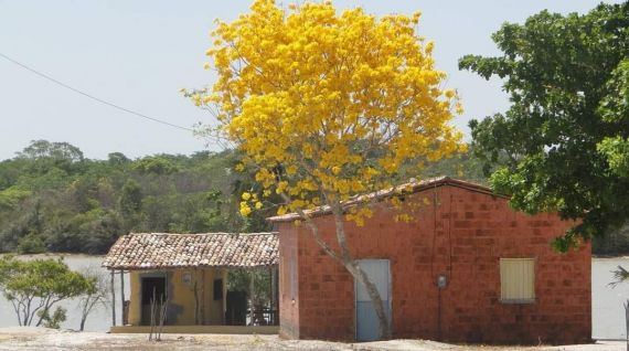 TARDE- 03 em 01 Rural (privativo)